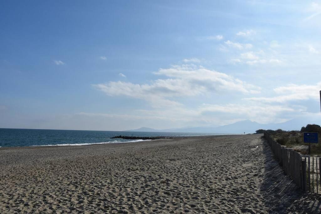 Les Goelettes - Appartement En Rdc Avec Acces Direct A La Plage Saint-Cyprien  Exterior photo