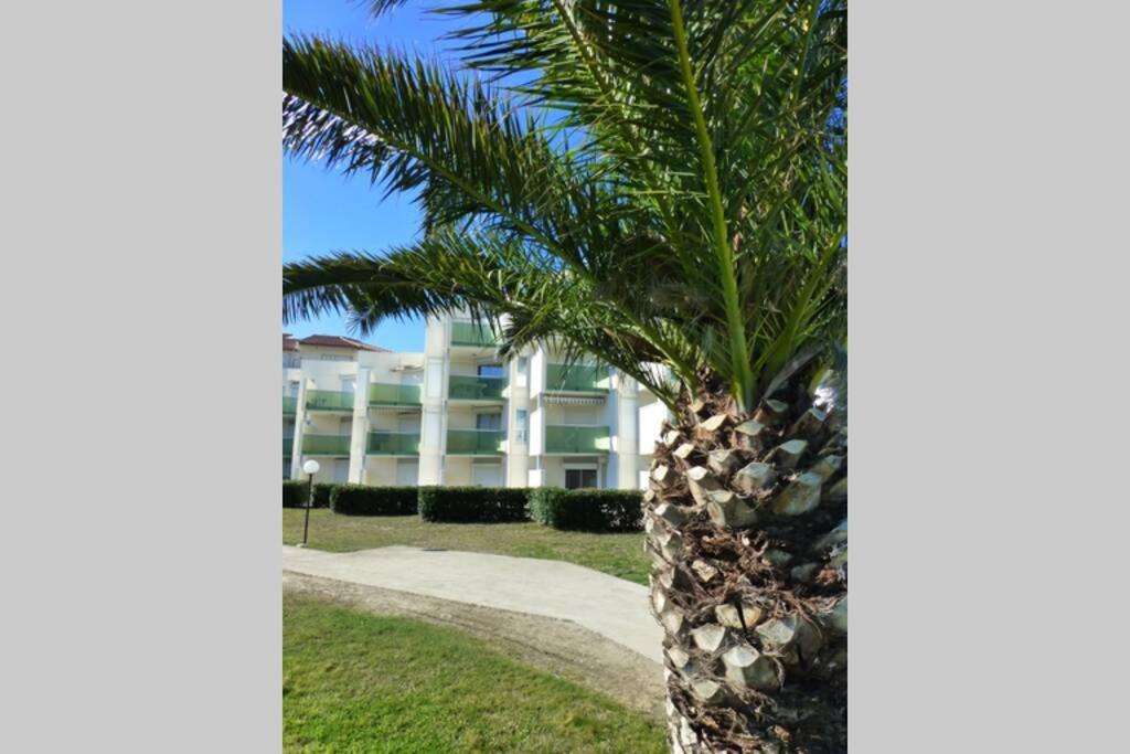 Les Goelettes - Appartement En Rdc Avec Acces Direct A La Plage Saint-Cyprien  Exterior photo
