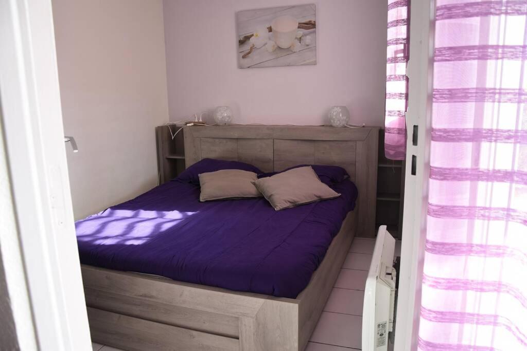 Les Goelettes - Appartement En Rdc Avec Acces Direct A La Plage Saint-Cyprien  Exterior photo