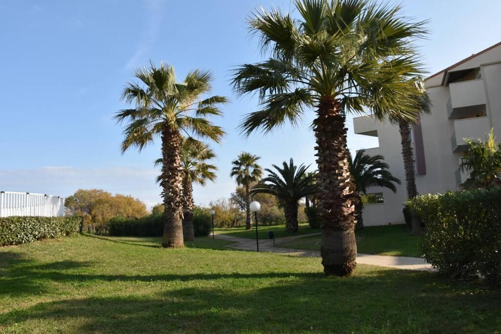 Les Goelettes - Appartement En Rdc Avec Acces Direct A La Plage Saint-Cyprien  Exterior photo