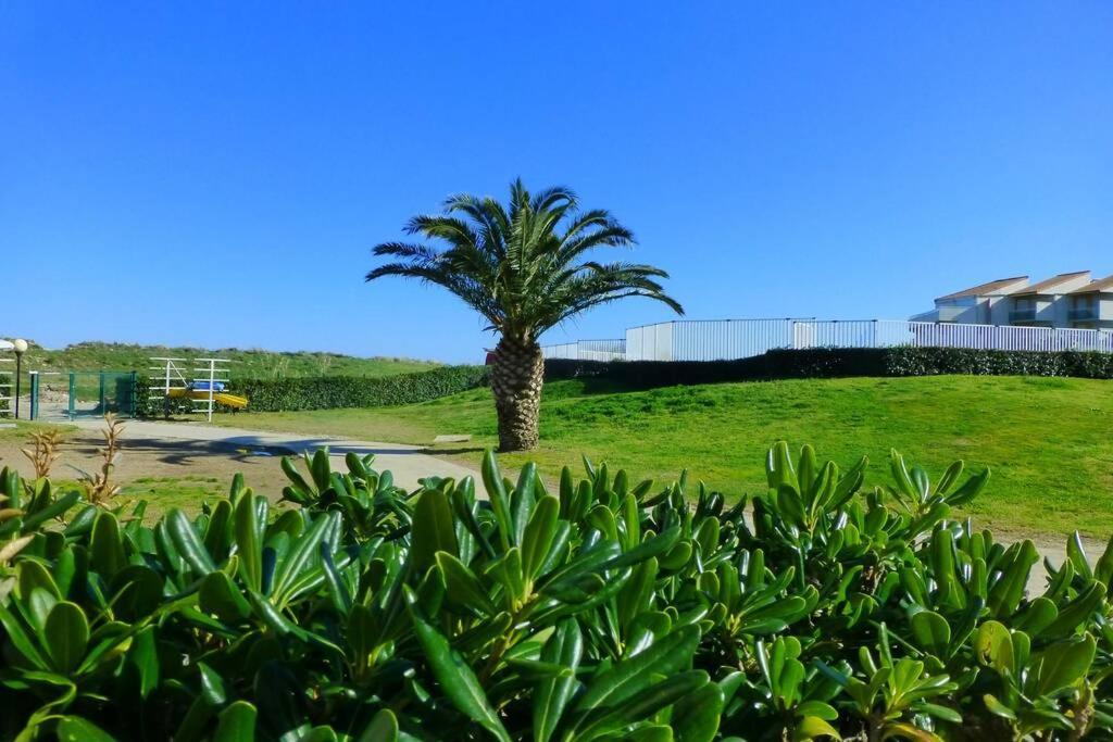 Les Goelettes - Appartement En Rdc Avec Acces Direct A La Plage Saint-Cyprien  Exterior photo